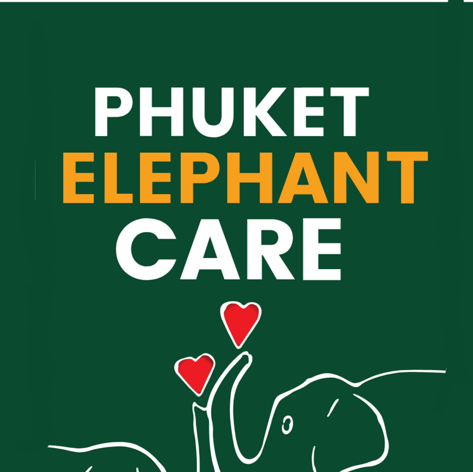 Phuket Elephant Care Phuket Elephant Care